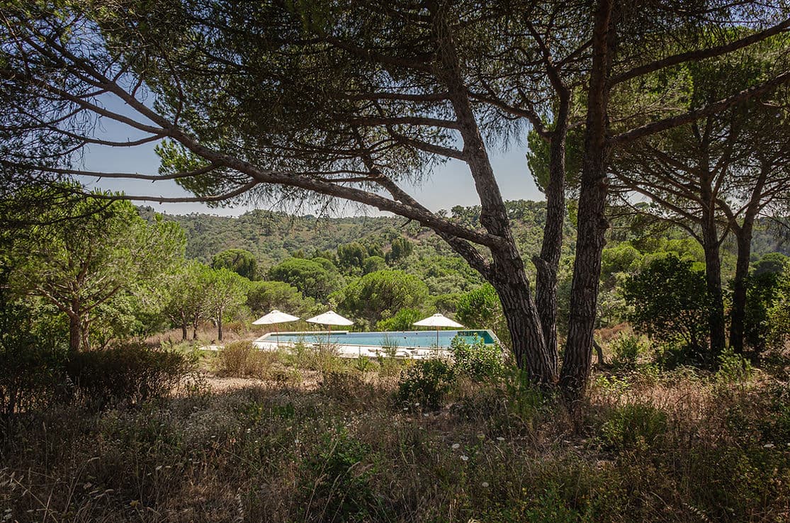 Cá na Serra outdoor swimming pool with umbrellas surrounded by woodland landscape in Melides, Portugal