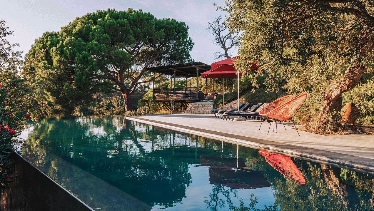 Infinity pool with lounge chairs and large trees at Rafter Melides Atlantica in Melides, Portugal