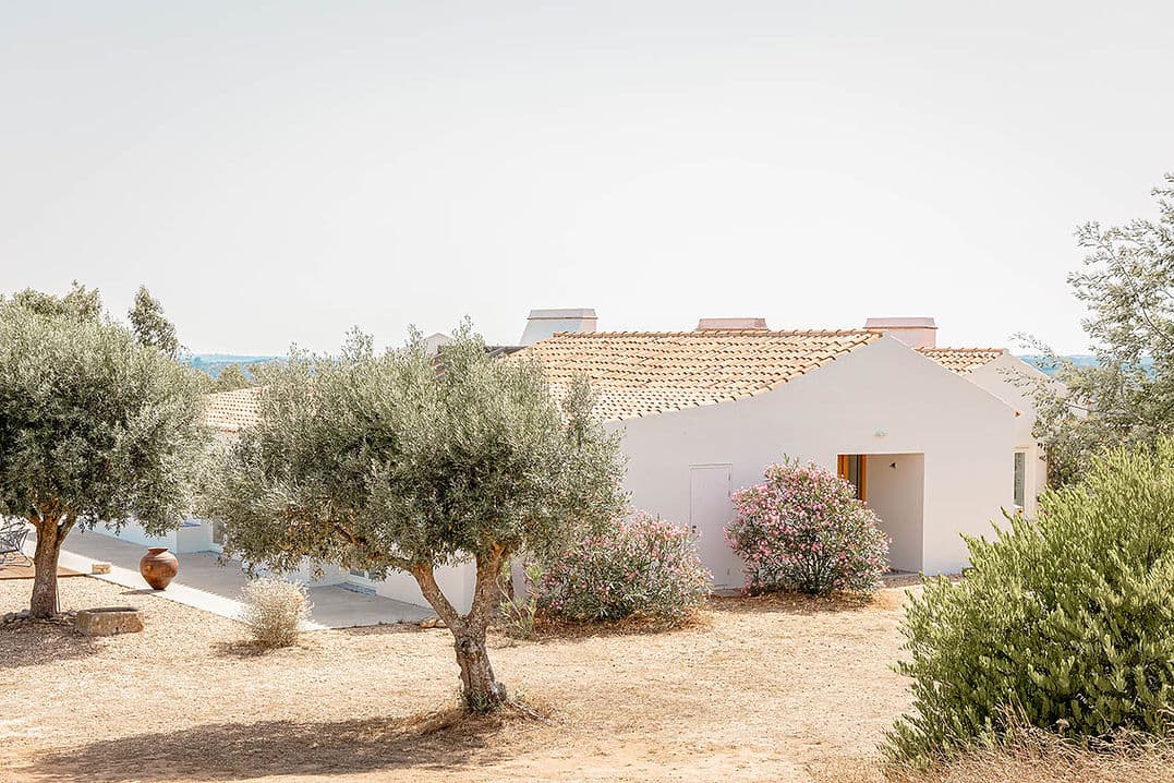 Single-story Casa Acima exterior in Santiago do Cacém, Portugal, with Mediterranean garden and olive trees